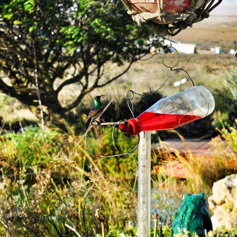 Farr Out Guest House Paternoster Eksteriør bilde